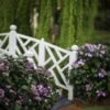 ENDLESS SUMMER® TWIST-N-SHOUT® HYDRANGEA