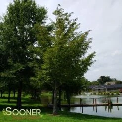 Deals Tend Twig Store -Deals Tend Twig Store DETA2 764