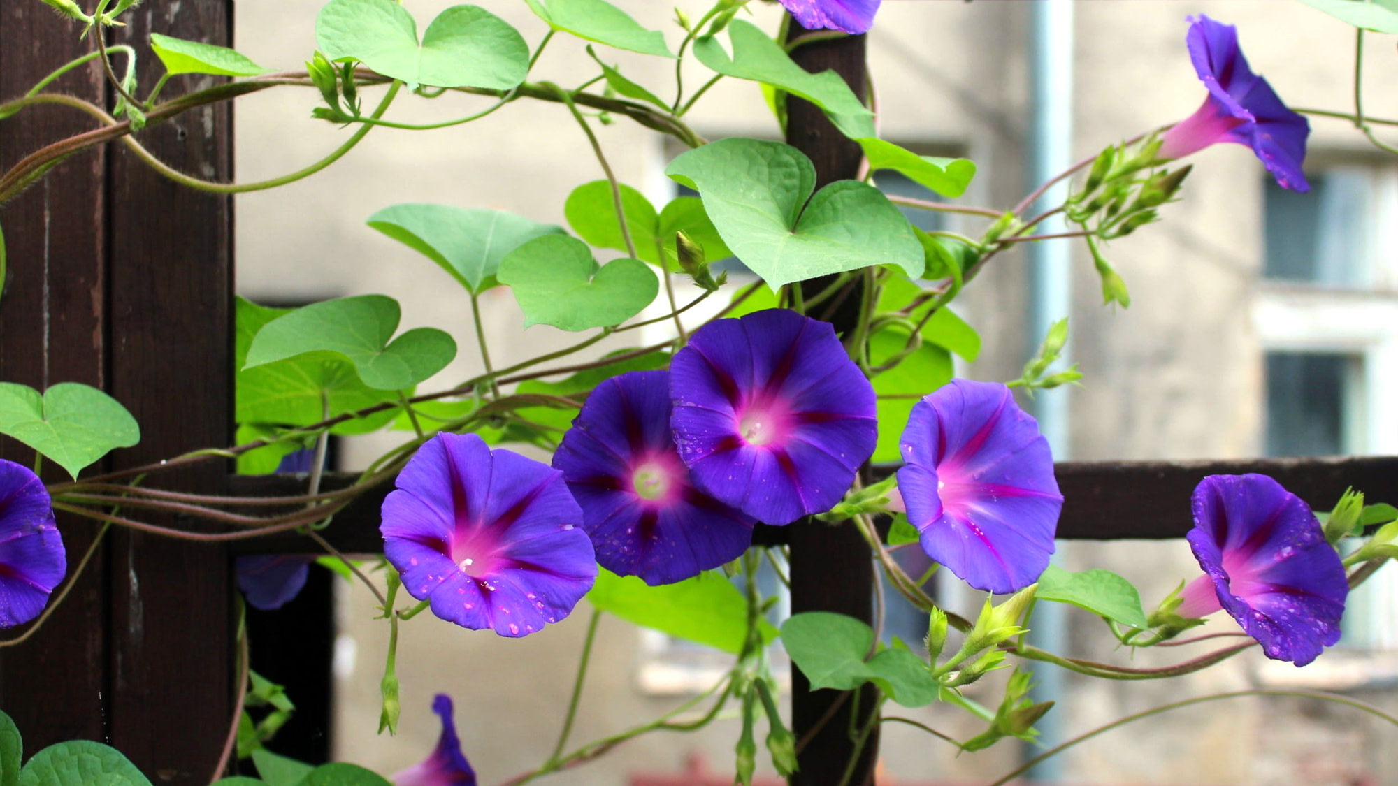 Deals Tend Twig Store -Deals Tend Twig Store 9 1